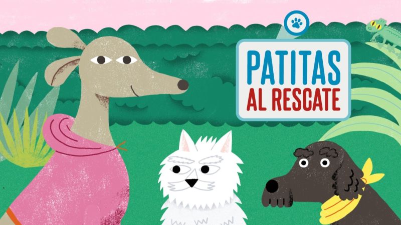 “Patitas al rescate”: La Plata lanza una serie animada para enseñar el cuidado animal