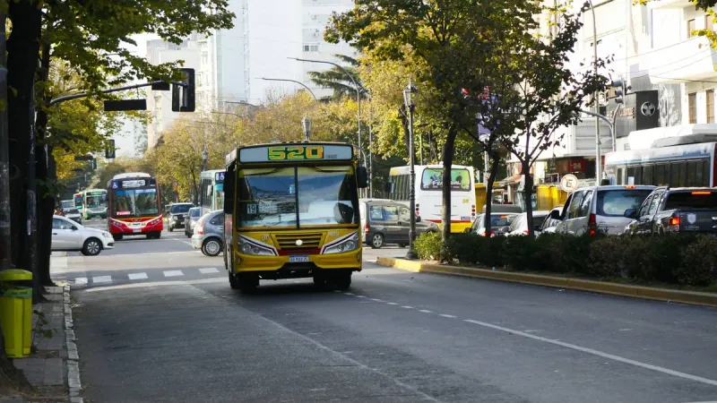 Crece el malestar por los micros en La Plata y advierten por más recortes de frecuencia