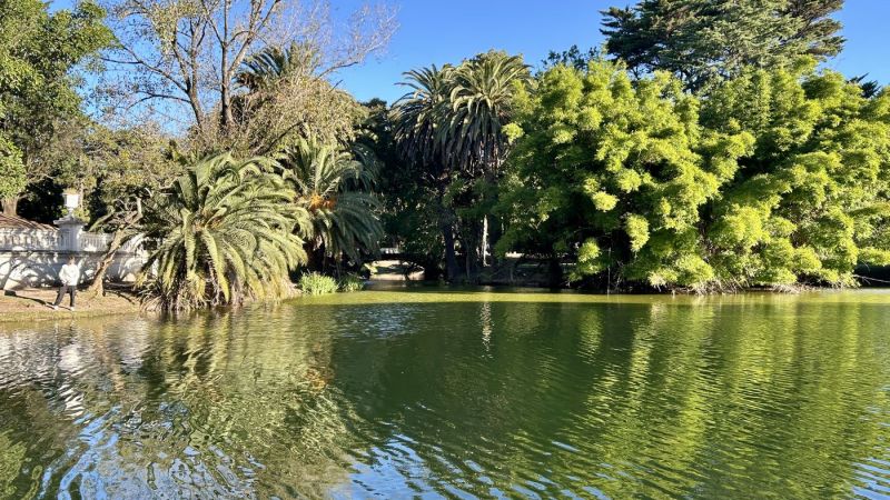 Científicos de la UNLP identificaron un hiperparásito único en el Lago del Bosque