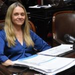 Una diputada libertaria admitió que su hijo usa sus pasajes oficiales del Congreso para viajar