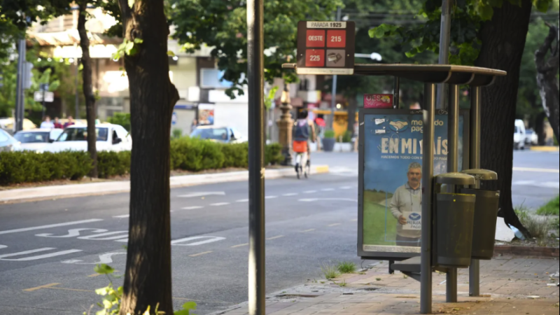 A partir del lunes vuelven a aumentar los micros en La Plata