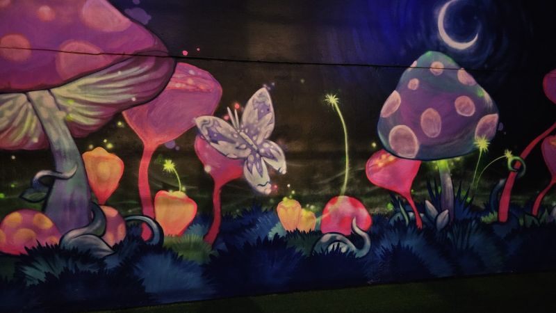 Otro cierre golpea al comercio platense: un salón de fiestas infantiles anunció que baja sus persianas