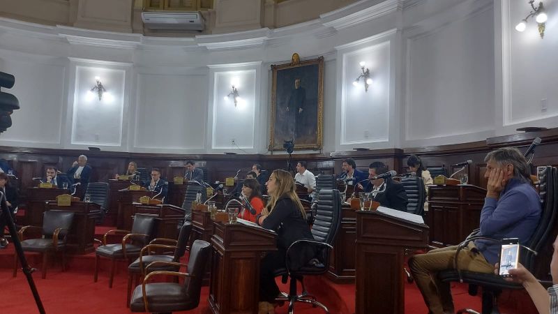 Concejo Deliberante de La Plata: debate por seguridad y transparencia en la quinta sesión ordinaria
