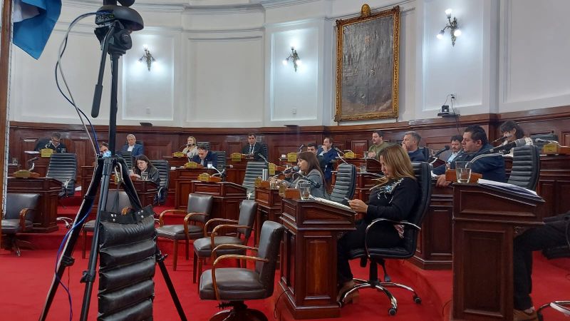 Salud en crisis, proyectos turísticos y violencia en la UNLP: el debate en el Concejo
