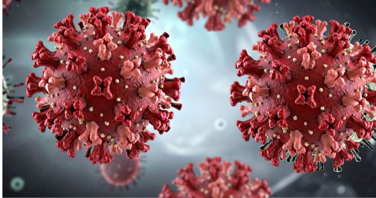 Hantavirus: la amenaza silenciosa que volvió a encender las alarmas sanitarias