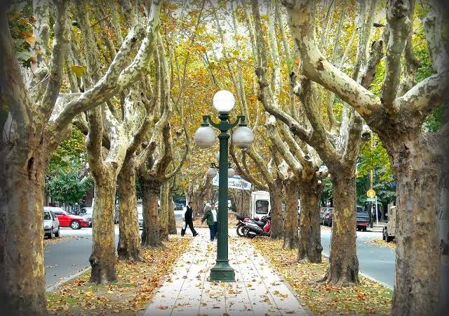 Cómo estará el clima este lunes en La Plata: jornada otoñal soleada y fría