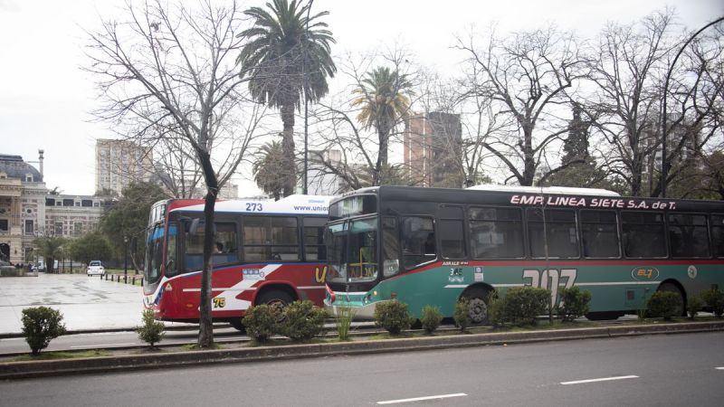 Radiografía del transporte público en La Plata: boleto arriba de $1.000, menos frecuencias y paradas que nunca volvieron
