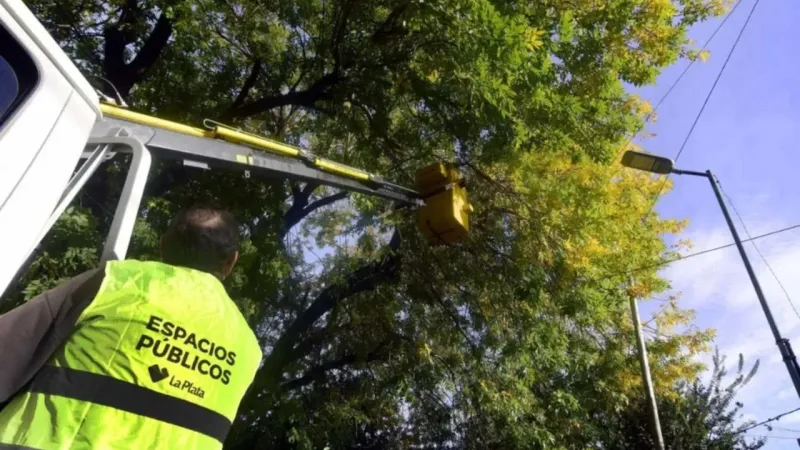 Atención en La Plata: habrá cortes de tránsito en Diagonal 78 por tareas de poda