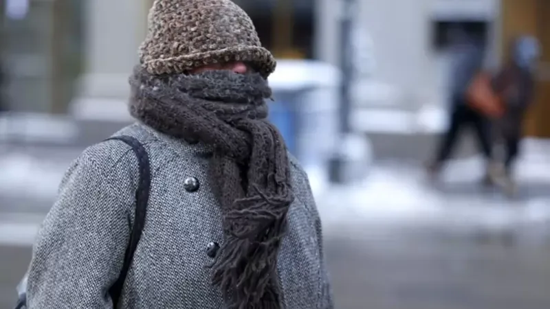Frío, neblina y clima mundialista: cómo estará el tiempo este sábado en La Plata