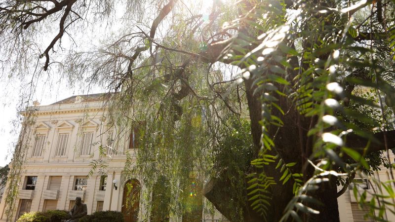 La UNLP redujo un 12% su huella de carbono y avanza hacia la neutralidad ambiental