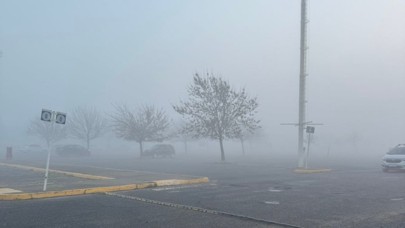 Viernes con neblinas y ambiente frío en La Plata