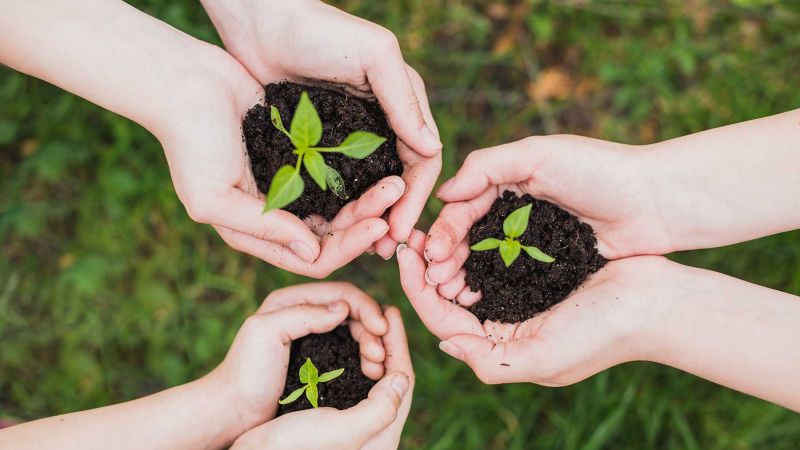 La Plata: el CONICET y la UNLP organizan actividades por el Día Mundial del Ambiente