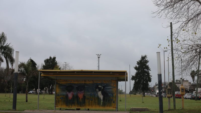 Clima en La Plata: cómo estará el tiempo este jueves