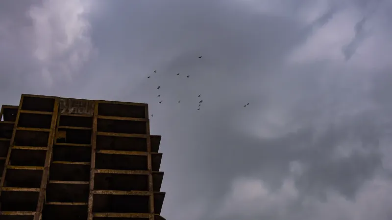 Clima en La Plata: domingo frío, nublado y con probabilidad de lluvias en la región