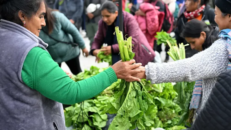 Productores del cordón frutihortícola de La Plata realizarán una protesta frente a la Legislatura bonaerense