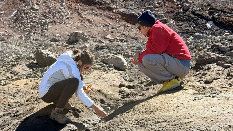 Investigadora del CONICET La Plata participa de una búsqueda sobre el origen de la vida en ambientes extremos de Argentina