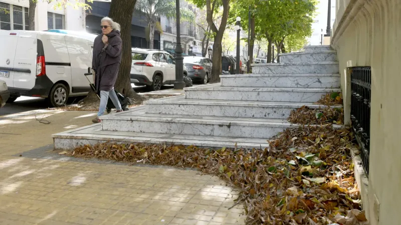 Clima en La Plata: viernes frío, húmedo y con nubosidad variable