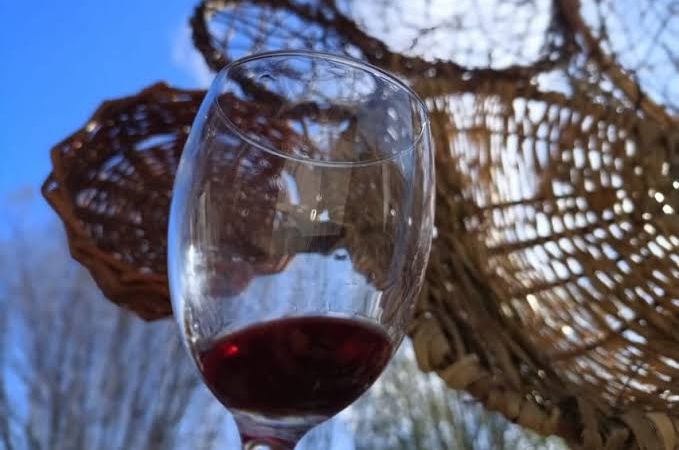 Fiesta del Vino de la Costa en Berisso: la historia detrás de una tradición que estuvo a punto de desaparecer
