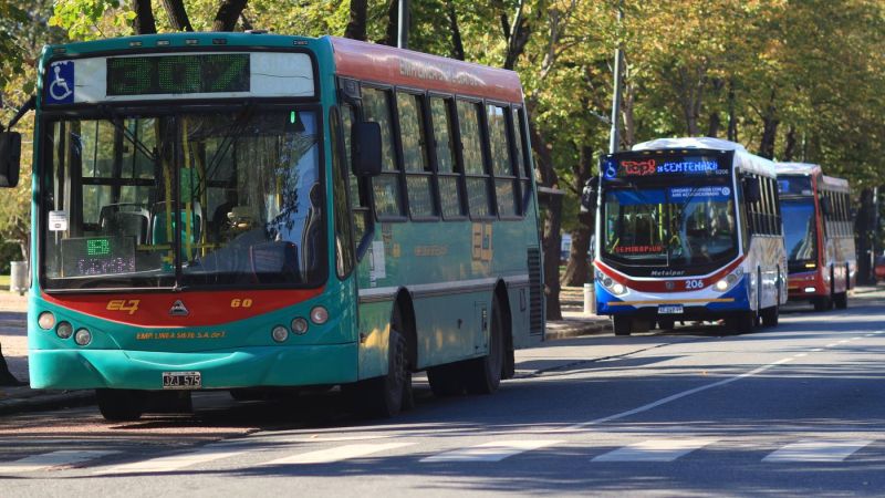 Aumenta el boleto de micro: cuánto costará viajar en La Plata desde agosto