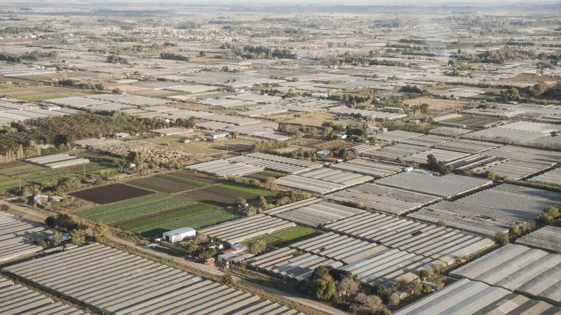 La Plata busca fortalecer las condiciones laborales en el cordón hortícola