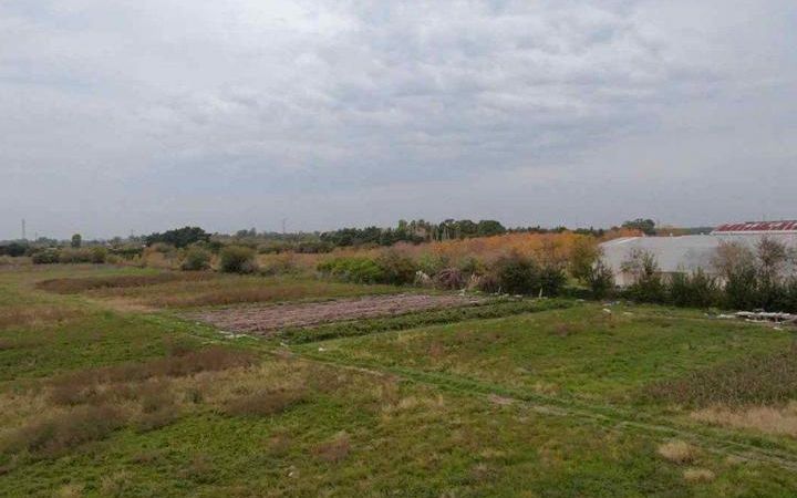 Identificaron al jinete de La Plata que murió junto a su caballo tras recibir una descarga eléctrica