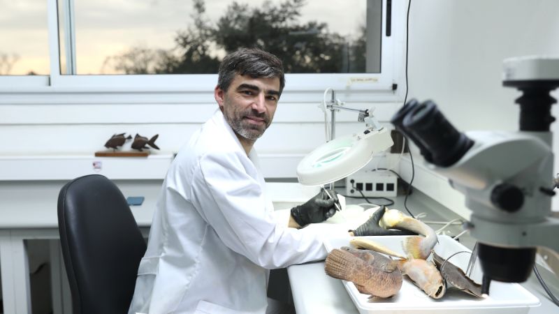 Investigadores de la UNLP descubrieron qué revelan los peces sobre el futuro del Río de la Plata