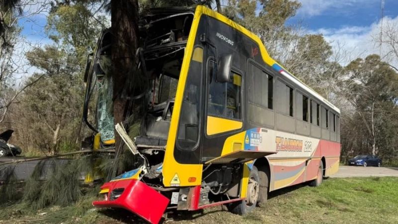 Berisso: amplio operativo de emergencia tras un accidente vial con decenas de heridos