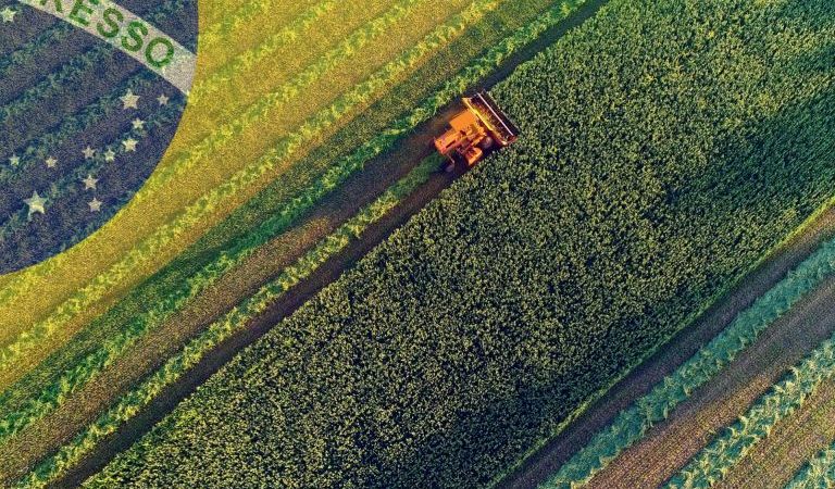 Brasil se consolida como potencia alimentaria y gana peso en el comercio agrícola global