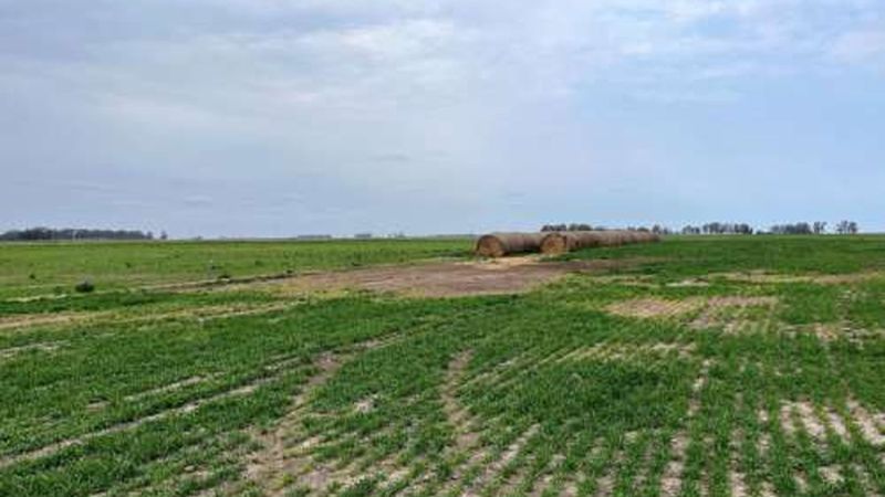 Un informe del CONICET reveló que el 10% de las tierras de La Plata está en manos extranjeras