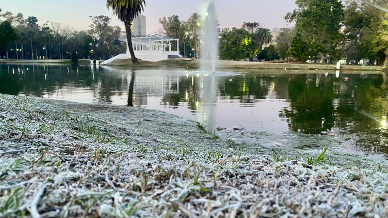 Domingo bajo cero en La Plata: la ciudad amaneció con heladas y espera una máxima de 13°C