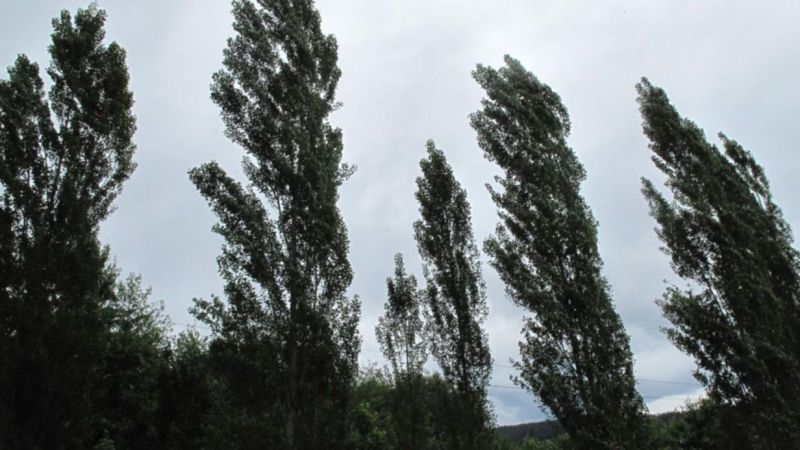 Tras la lluvia se viene el viento: anticipan fuertes ráfagas para la tarde en La Plata