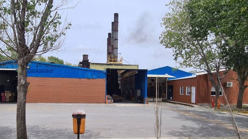 Cuatro encapuchados robaron y causaron destrozos en una fábrica de Olmos