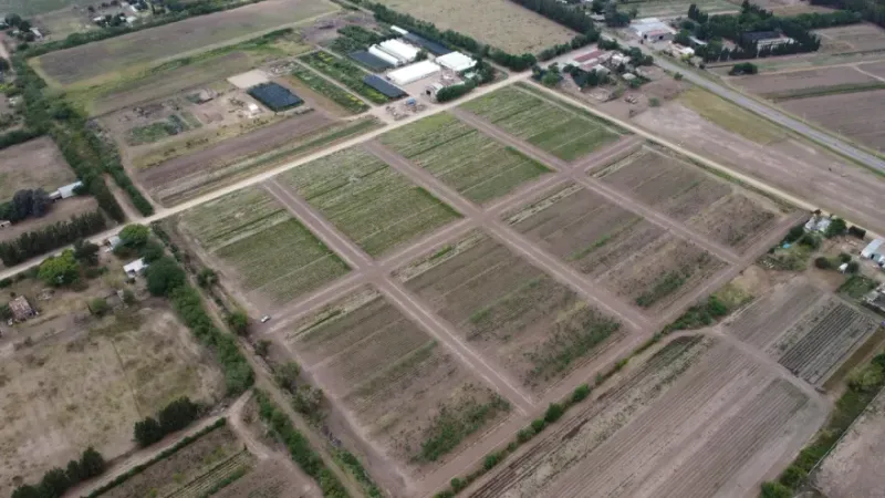 Loteos ilegales en La Plata: detuvieron al titular del Grupo Del Sud y ya son tres los arrestados