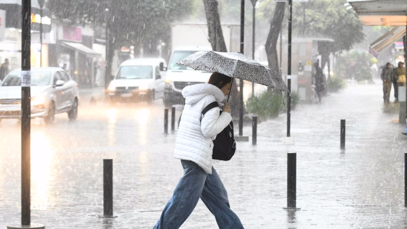 Domingo con paraguas en La Plata: cómo seguirá el tiempo