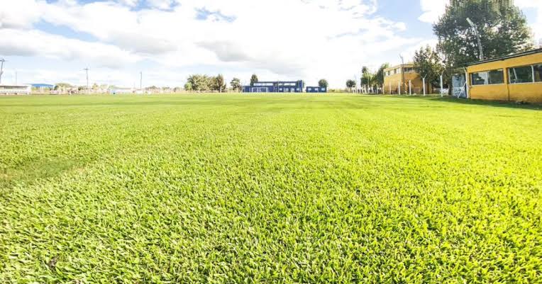 Everton organiza un torneo de pádel en La Plata para recaudar fondos para el césped sintético