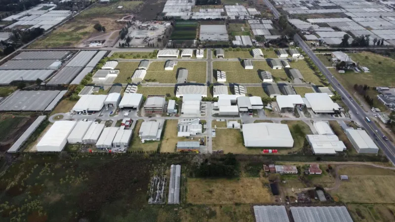 La otra La Plata: las industrias más sorprendentes que funcionan en la ciudad