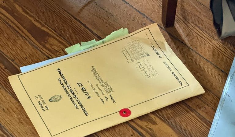 Kicillof consiguió el despacho para sus dos leyes de salud y prepara el camino al Senado bonaerense