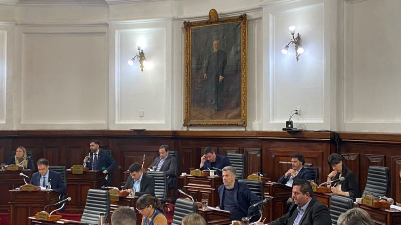 Taxis, Bioparque y nuevos registros: qué dejó la 14° sesión del Concejo Deliberante