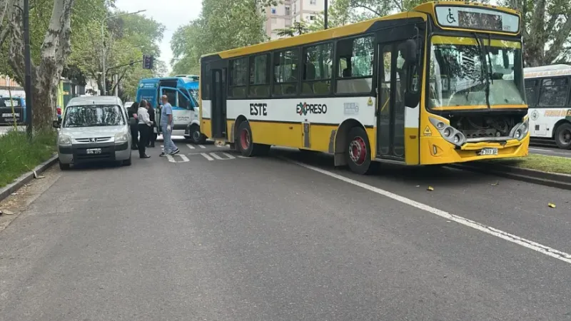 La Justicia investiga un fatal choque entre un micro y una bicicleta en La Plata