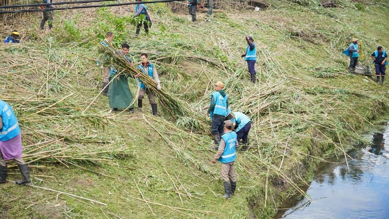 Arroyo Maldonado: 350 trabajadores limpian más de 5.600 metros entre La Plata y Berisso ante la llegada de El Niño