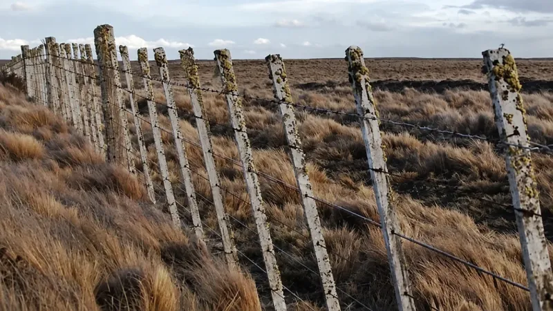 Tierras en manos extranjeras: los límites que otros países mantienen