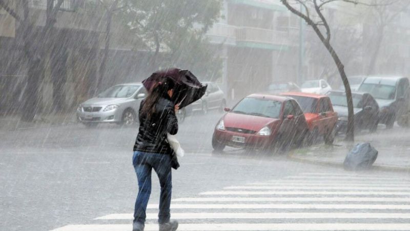 La lluvia dejó registros muy distintos en La Plata: qué zonas recibieron más agua
