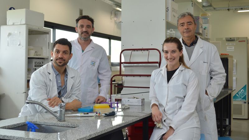 Científicos del CONICET en La Plata avanzan en una técnica para reducir el rechazo de órganos trasplantados